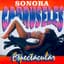 Sonora Carruseles