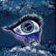 Nosy