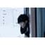 JJ Lin