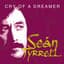 Sean Tyrrell