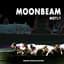 Moonbeam