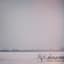 The Flashbulb