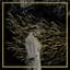 Forest Swords