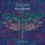 Samsara Blues Experiment