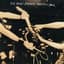The Doobie Brothers