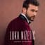 Luka Nizetic