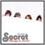 Secret