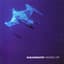 Shearwater