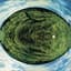Mike Oldfield
