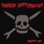 Teenage Bottlerocket