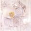Acoustic Alchemy