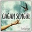 Çağan Şengül