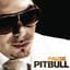 Pitbull