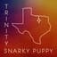 Snarky Puppy