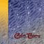 Color Theory
