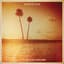 Kings of Leon