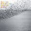 Four Tet