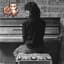 Piano Cat