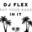 DJ Flex
