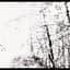 Agalloch