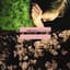 Gemma Hayes