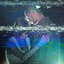 Mirror Kisses