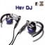 DJ Sanj