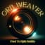 Orb Weaver