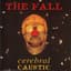 The Fall
