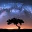 Sounds And Beyond