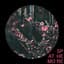 Atmo Sphere
