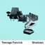 Teenage Fanclub
