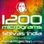1200 Micrograms