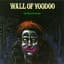 Wall of Voodoo