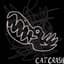 Cat Crash