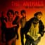 The Animals