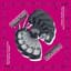 Compass: Mexican Institute Of Sound + Toy Selectah