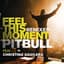 Pitbull feat. Christina Aguilera