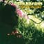 Tim Hardin