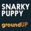 Snarky Puppy