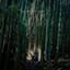 DIR EN GREY