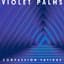 Violet Palms