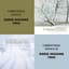 Eddie Higgins Trio