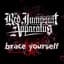 The Red Jumpsuit Apparatus