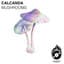 Calcanda