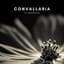 Convallaria