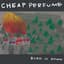 Cheap Perfume