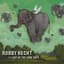 Robby Hecht