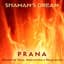 Shaman's Dream