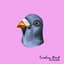 Still Pigeon